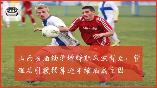山西汾酒杨学增辞职风波背后，管理层引援预算连年缩减成主因